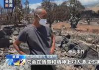 中国游客亲历夏威夷野火 死亡人数可能进一步攀升
