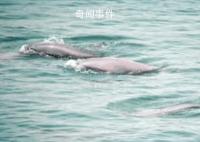 欢迎“打卡”长江蝶变