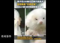 男子花150美元买狗结果是巴西老鼠 接种疫苗时兽医发现根本不是狗