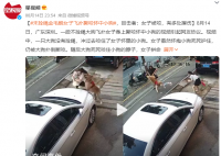 金毛未拴绳扑倒女子撕咬怀中小狗 视频引起网友热议