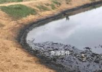 尔康制药柬埔寨工厂遭令搬迁 公司必须在11月20日前修复当地环境