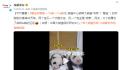 爱宝双胞胎一个沉稳一个话痨 网友：打小就看出了i熊和e熊的区别