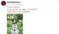 电影《志愿军》发布致歉声明 希望大家继续监督指正