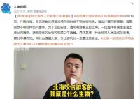 科普博主称北海伤人可能是公牛真鲨 外出游玩时一定要注意安全