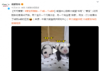 爱宝双胞胎一个沉稳一个话痨 网友：打小就看出了i熊和e熊的区别