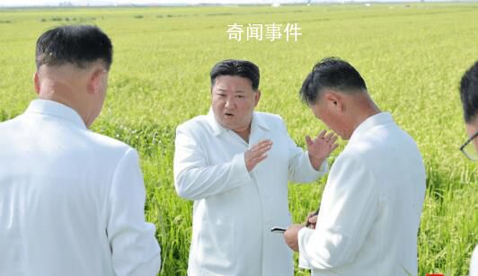 金正恩指导朝鲜空军喷洒农药 现场指导消除台风灾害影响保护农作物工作