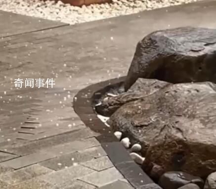 杭州突降冰雹 网友:开眼了