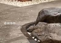 杭州突降冰雹 网友:开眼了