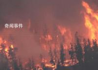 加拿大同时发生上千起林火 正在经历有记录以来最严重的林火侵袭