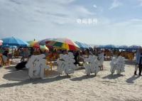北海不明鱼类咬人后海滩游客少了8成 侨港浴场暂停一切涉水活动