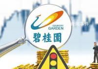 碧桂园账面资金仅能满足保交楼