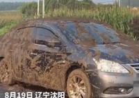 小车被运粪车追尾灌一车粪便 网友：粪代表财运你看这财运多强势
