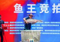“鱼王”拍出30万 买家当场放生