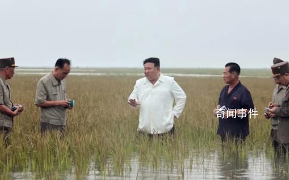 金正恩半身踩进稻田视察救灾重建 并严厉指出干部们不担当不作为