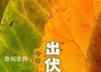 超长三伏天终于结束了 你感受到了吗
