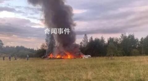 俄飞机坠毁是意外还是有预谋行动?