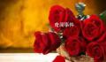 今年七夕玫瑰花低至10元一扎 今年七夕的花价最便宜