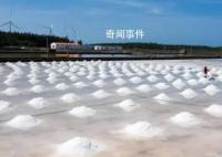 广东:市民不必效仿海外囤盐