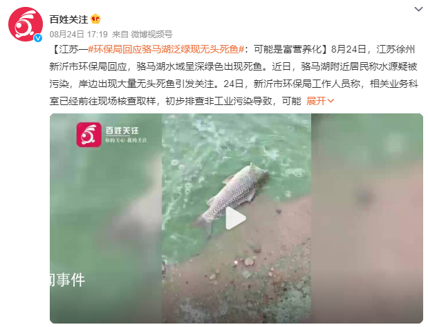 徐州一湖水质呈绿色出现死鱼 具体原因仍在调查中