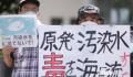 日本多部动漫呼吁人类保护海洋 会对生态环境带来哪些恶劣影响