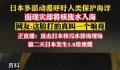 日本多部动漫呼吁人类保护海洋 网友：这脸打的真叫一个响亮
