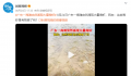 广东一海滩突然涌现大量海虾 网友：这些海虾是有预感了吗