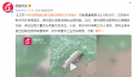 徐州一湖水质呈绿色出现死鱼 具体原因仍在调查中