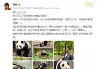 费翔见到了自己领养的大熊猫 费翔晒照分享四川之行