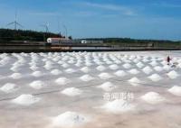 多地提醒市民:不要囤盐