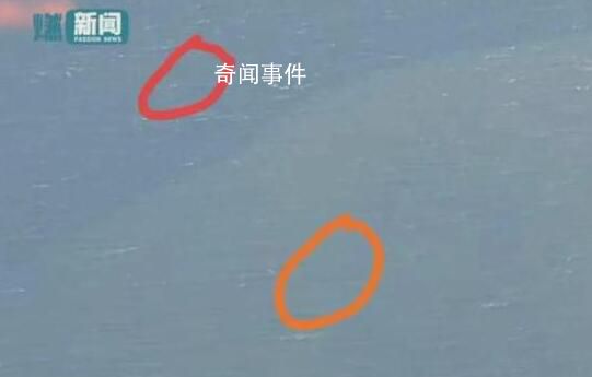 核污水排海后日本人在海里游泳 这究竟是怎么回事