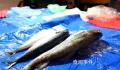 韩宣布向学校供应安全水产品 韩国民间对食品安全的担忧升级