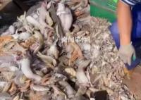 中国渔民回应直播间遭谩骂 有主播当场情绪崩溃