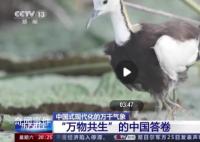 这是“万物共生”的中国答卷 一大批珍稀濒危物种得到有效保护