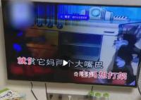 家长吐槽恶改版儿歌教小孩说脏话 质疑这种画面怎么能播放出来