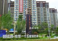实探碧桂园危机中的买房人 有人极其焦虑有人无奈接受