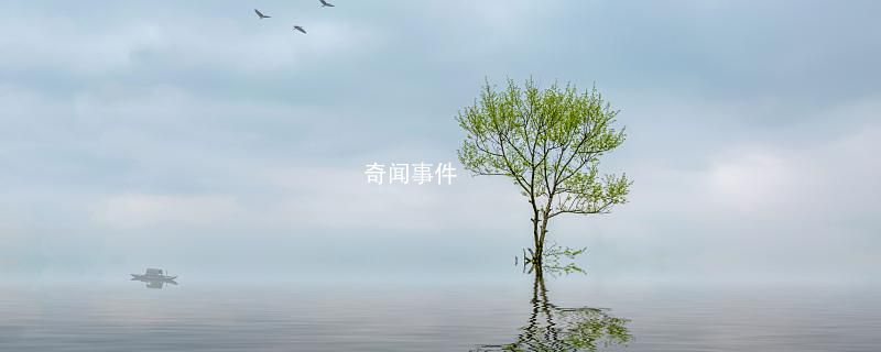 梦到杏树预示着什么 梦里杏树代表什么意思 梦到杏树这个梦是好是坏