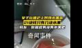 沪上阿姨水果茶仅5块西瓜4片凤梨 21元一杯