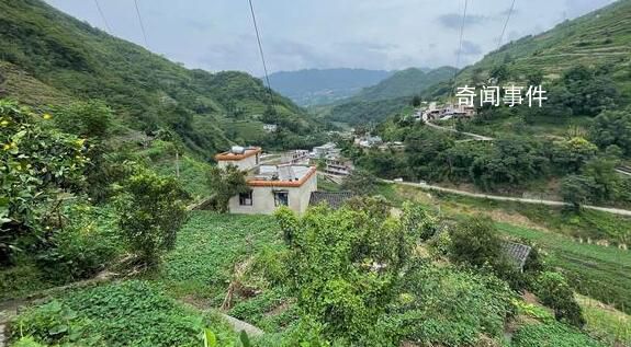 小伙陷电诈染登革热 回国后精神失常