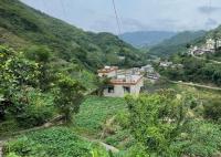 小伙陷电诈染登革热 回国后精神失常