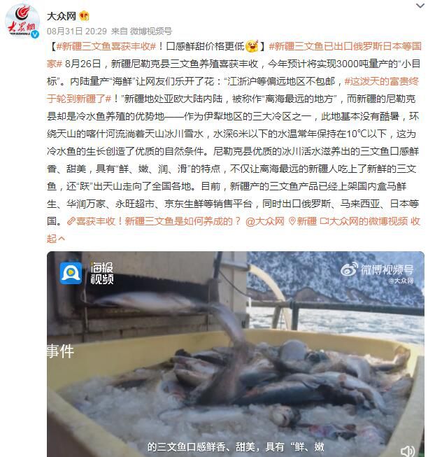 新疆三文鱼喜获丰收 今年预计将实现3000吨量产的小目标