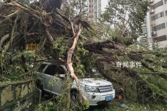 台风破坏力太大会被除名 严重的台风为什么要除名