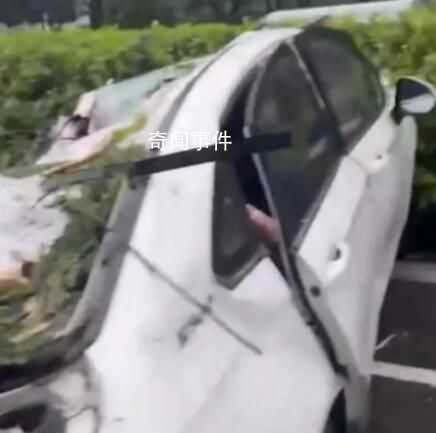 深圳台风吹倒树砸中车辆致1死2伤 救援人员赶到时车内2名女性受伤被救出