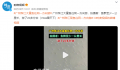 广州珠江水面现鱼群齐游 鱼群至少一公里长游了20多分钟