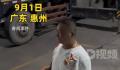 台风来袭男子帮渔民吊起百艘渔船 牢牢系于岸边