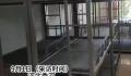 河北一小学宿舍现三层床铺 一个宿舍能住30多个人