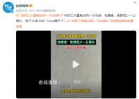 广州珠江水面现鱼群齐游 鱼群至少一公里长游了20多分钟