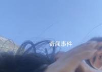 女子喂流浪猫被大妈揪发撕打 大妈既没有道歉也没有认错的态度