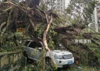 台风破坏力太大会被除名 严重的台风为什么要除名