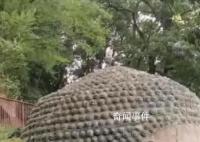 景区回应一男子爬上乐山大佛头顶 后续处理情况尚不清楚