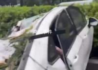 深圳台风吹倒树砸中车辆致1死2伤 救援人员赶到时车内2名女性受伤被救出